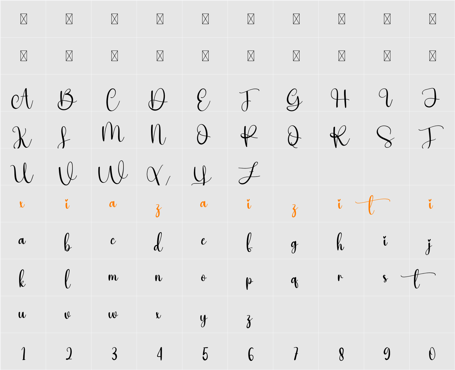 Workday 字符映射表