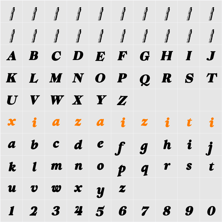 ZT Chintzy Heavy Ita 字符映射表